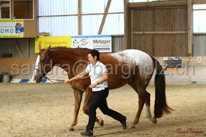 24-ApHC HIH_067.jpg